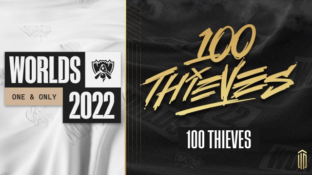 100 Thieves banner