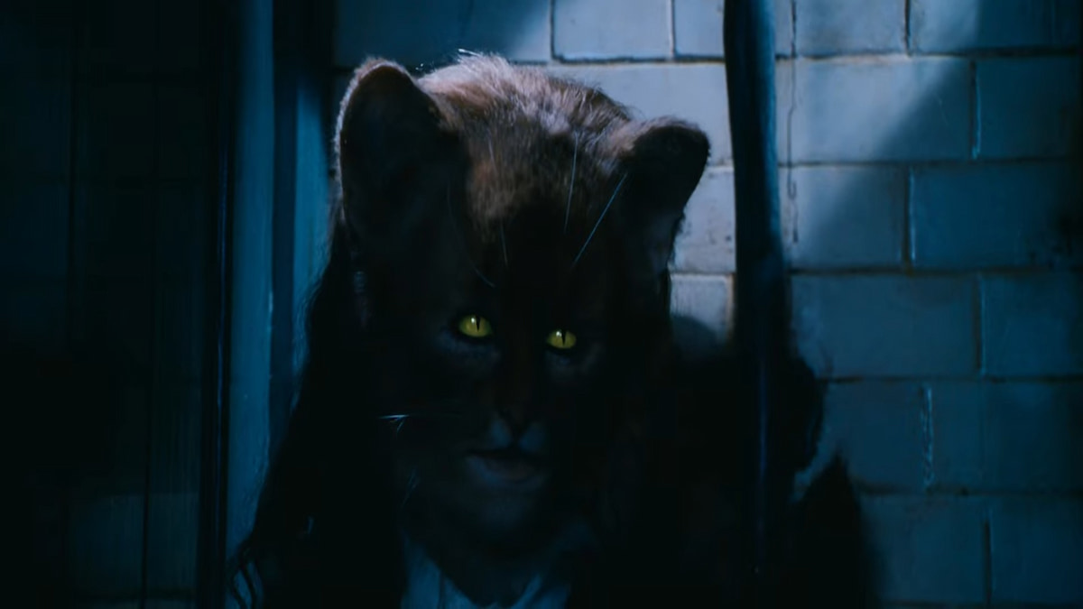 Hermoine transformed into a cat after drinking Polyjuice Potion in Harry Potter Chamber of Secrets