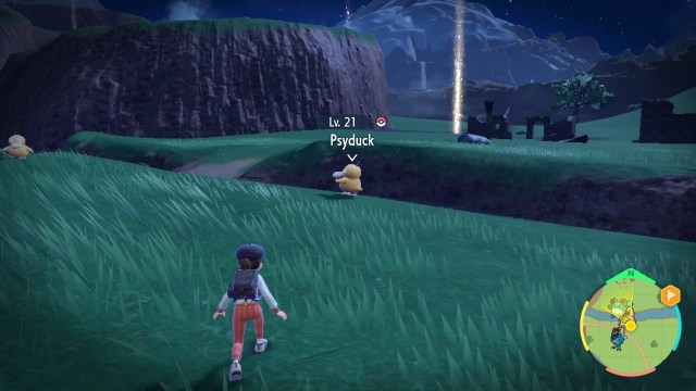 A Pokemon Scarlet and Violet player in a wild grassy field crouched down. A Psyduck is in view with an arrow above its head that reads "Lvl 21 Psyduck".